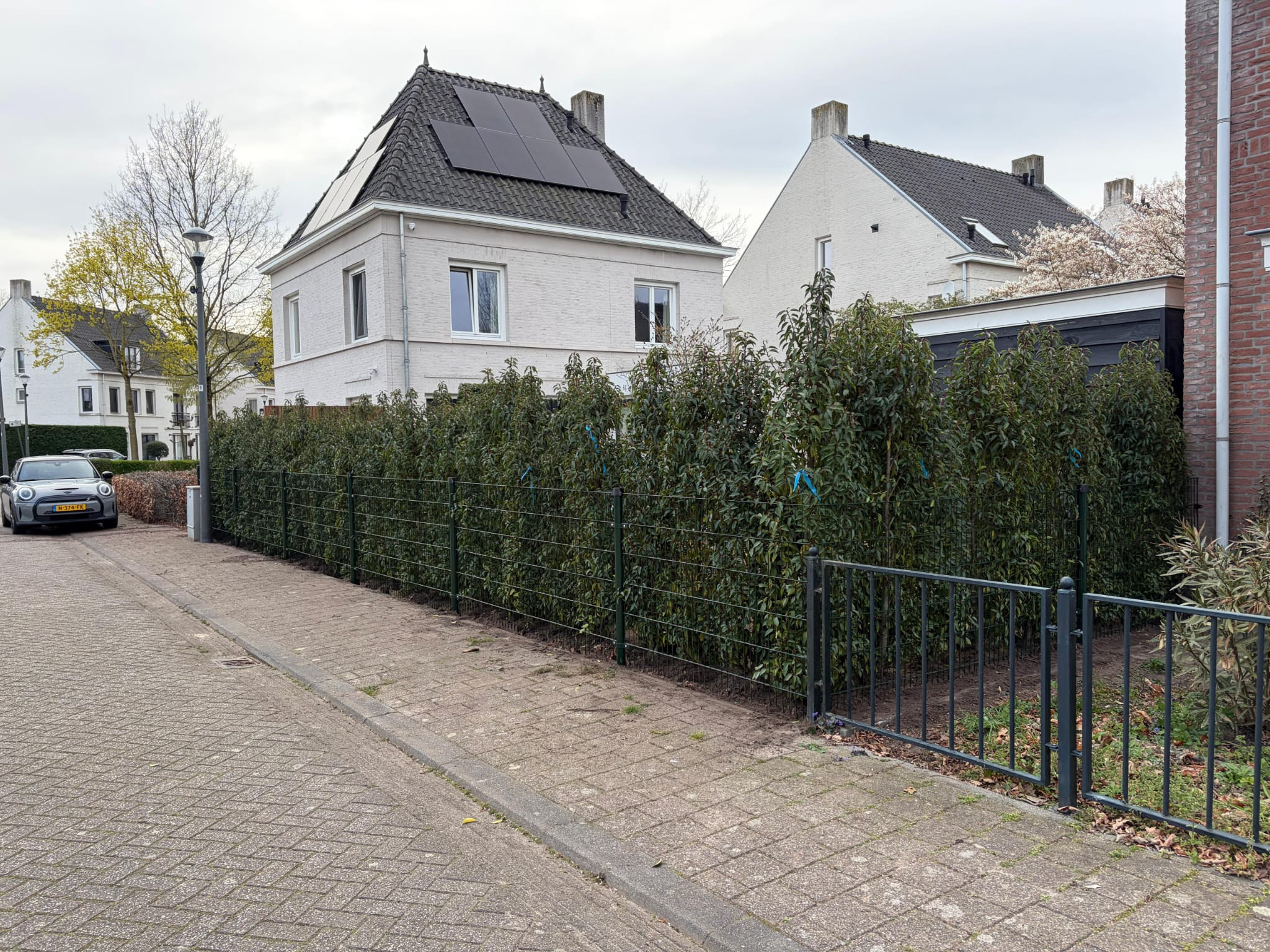 roelmanders-hovenier-brandevoort-project (1)