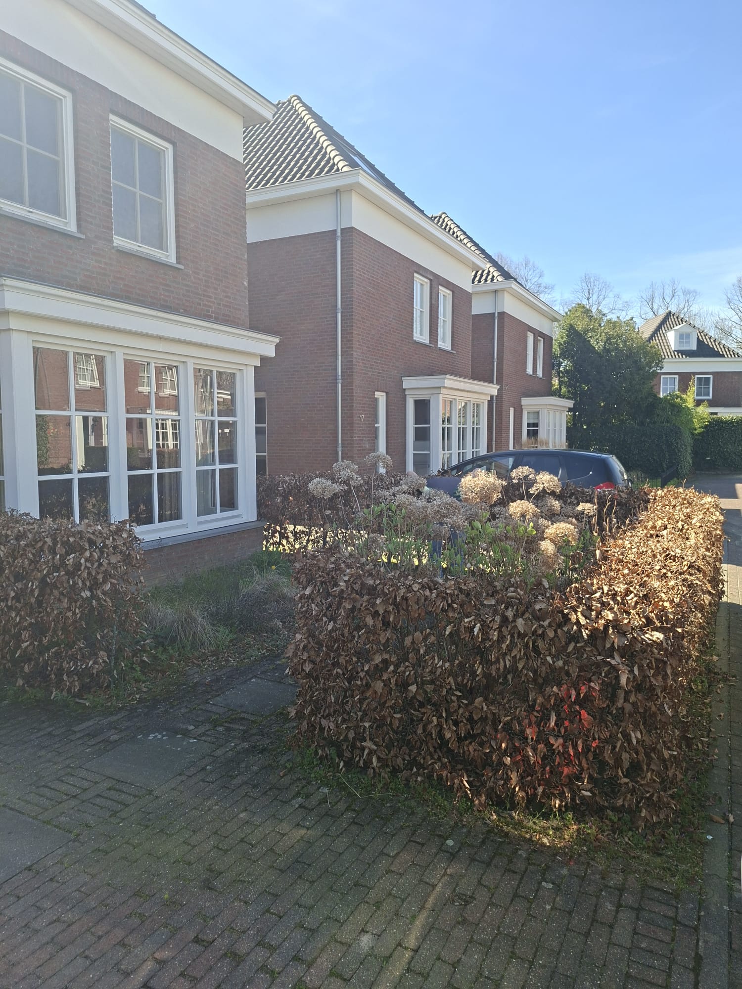 roelmanders-mierlo (1)